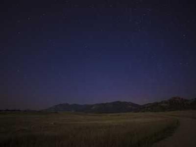 Flash Fiction Fridays: Coming Attractions