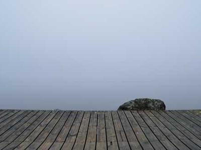 Flash Fiction Fridays: My Whey or the Highway