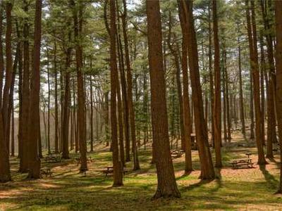 A Slasher That’s All Heart: The Summer is Ended and We Are Not Yet Saved by Joey Comeau