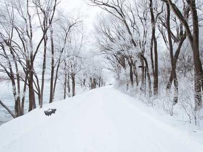 Bizarro Books as Resistance: Mona Swan LeSueur