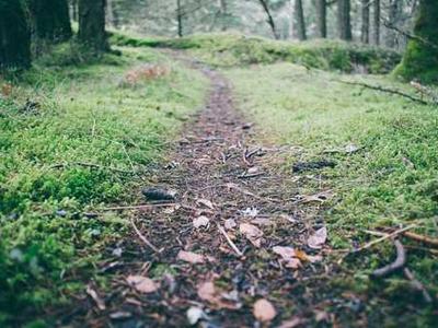 Flash Fiction Fridays: The Light Pierces Bone