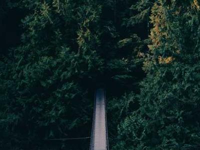 Bizarro Books as Resistance: Mona Swan LeSueur