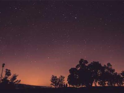 Flash Fiction Fridays: Coming Attractions