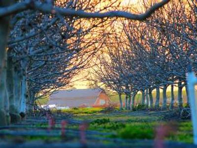 Patchwork: A Sewist’s Diary – Maddie Ballard