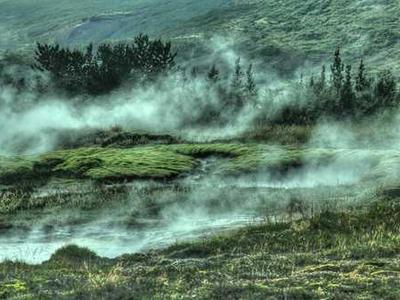 Rewilding Human Purpose in Becky Chambers's A Psalm for the Wild-Built