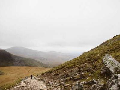 Wonderland Award Winners 2025