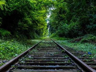 Flash Fiction Fridays: The Light Pierces Bone