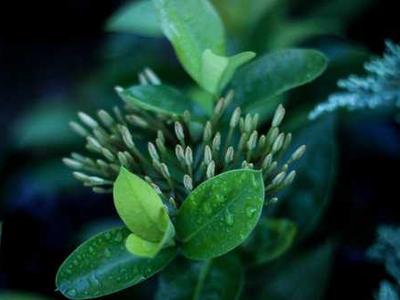 Flash Fiction Fridays: My Whey or the Highway