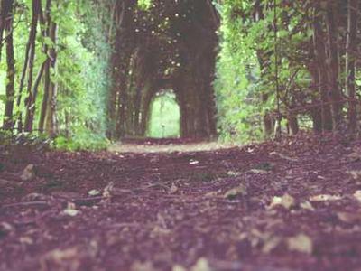 Flash Fiction Fridays: The End of the War Between God and the Devil