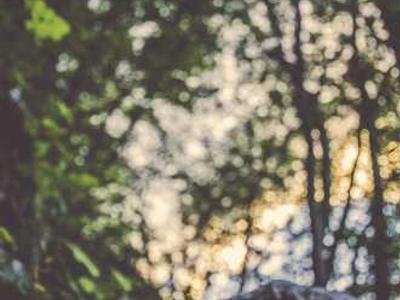 Flash Fiction Fridays: Coming Attractions