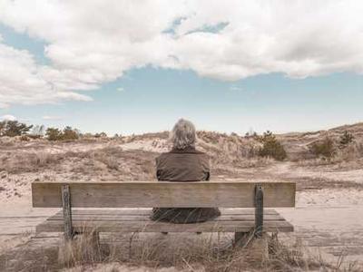 Wonderland Award Winners 2025