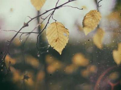 Flash Fiction Fridays: The Light Pierces Bone