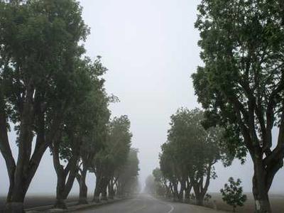 A Slasher That’s All Heart: The Summer is Ended and We Are Not Yet Saved by Joey Comeau