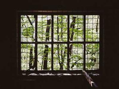 Flash Fiction Fridays: Coming Attractions