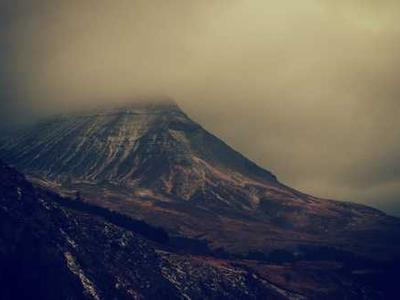 Call for Non-Fiction Submissions: Special Issue on Fungi in SFF