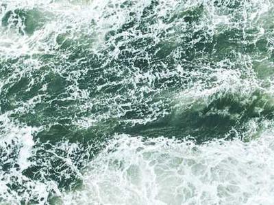 Flash Fiction Fridays: My Whey or the Highway