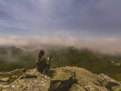 Bizarro Books as Resistance: Mona Swan LeSueur