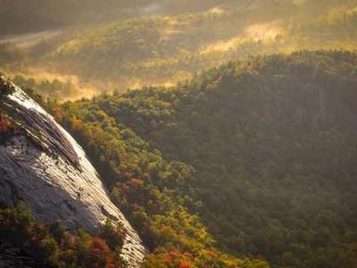 Flash Fiction Fridays: My Whey or the Highway