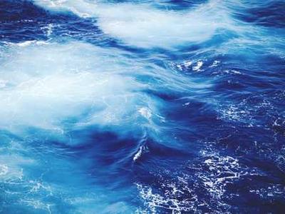 Wonderland Award Winners 2025