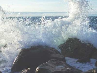 Flash Fiction Fridays: My Whey or the Highway