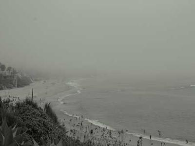 Flash Fiction Fridays: My Whey or the Highway