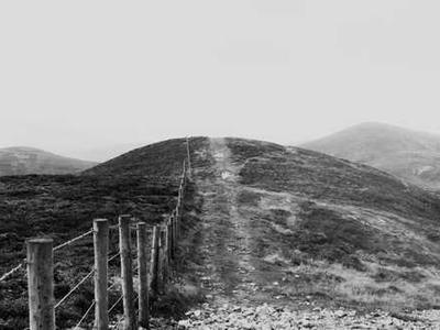 Wonderland Award Winners 2025