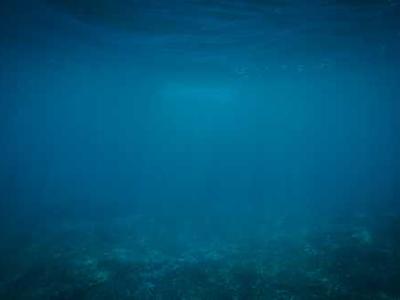 Flash Fiction Fridays: The Light Pierces Bone