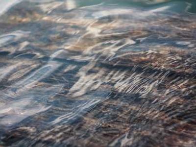 Flash Fiction Fridays: My Whey or the Highway