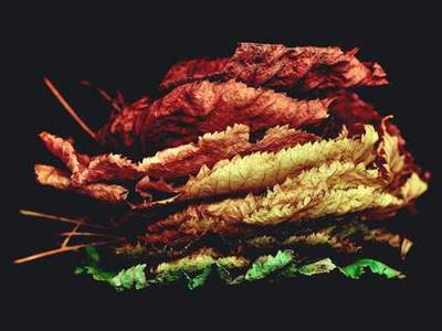 Bizarro Books as Resistance: Rick Claypool