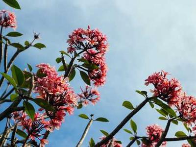 Flash Fiction Fridays: The End of the War Between God and the Devil