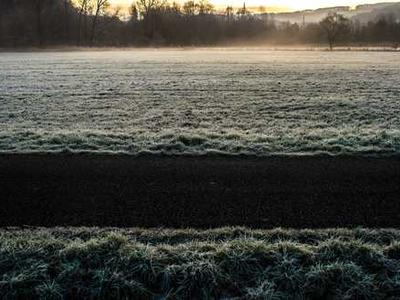 The House of Illusionists and Other Stories by Vanessa Fogg