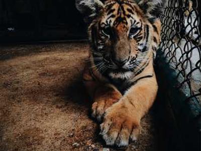 A Slasher That’s All Heart: The Summer is Ended and We Are Not Yet Saved by Joey Comeau