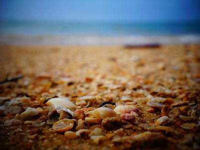 Bizarro Books as Resistance: Mona Swan LeSueur