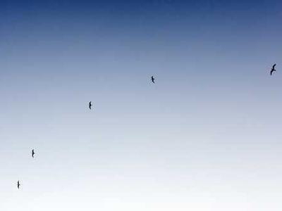 The Unreprinted: The Tides of Lust/Equinox by Samuel R. Delany