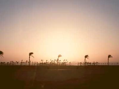 Supersaurio – Meryem El Mehdati