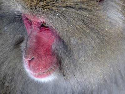 Flash Fiction Fridays: My Whey or the Highway