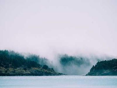 Bizarro Books as Resistance: Mona Swan LeSueur