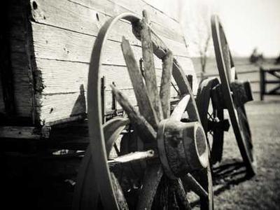 Flash Fiction Fridays: My Whey or the Highway