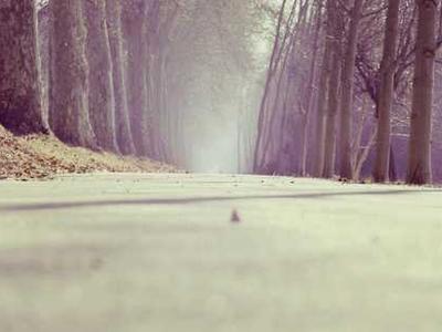 Boring Starvation: On Finding the Eating Disorder Book I Needed