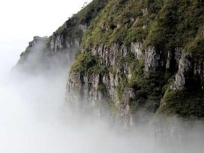 Wonderland Award Winners 2025