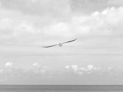 Flash Fiction Fridays: My Whey or the Highway