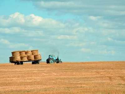Flash Fiction Fridays: My Whey or the Highway