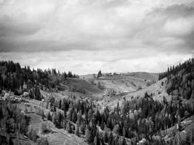 The Wonderland Book Awards – Final Ballot 2025