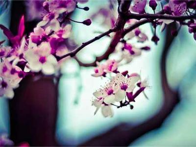 Flash Fiction Fridays: My Whey or the Highway