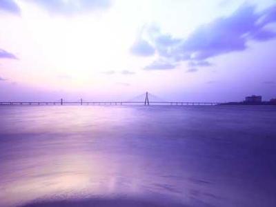 The Wonderland Book Awards – Final Ballot 2025