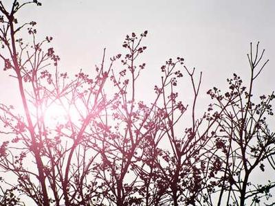 The Inescapable March by Hana Carolina