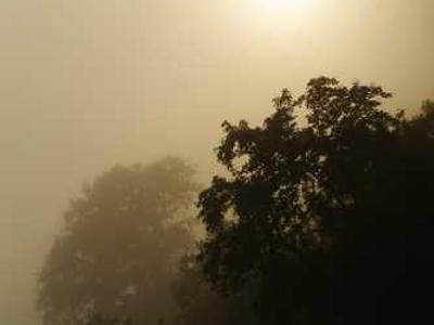 The Wonderland Book Awards – Final Ballot 2025