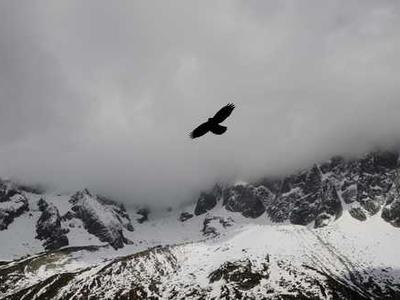 Flash Fiction Fridays: The Light Pierces Bone