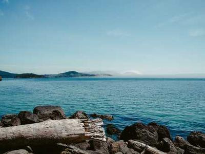 Flash Fiction Fridays: The Light Pierces Bone