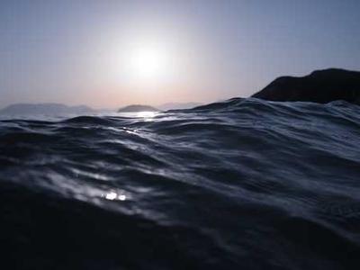 Bizarro Books as Resistance: Mona Swan LeSueur